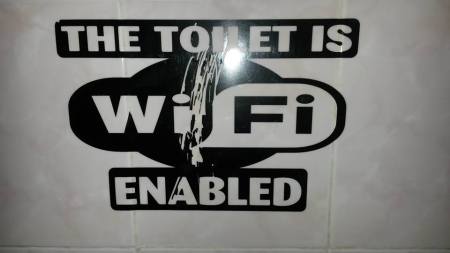 Exactly why would you want a wifi-enabled toilet? 